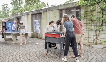 Gruppen und Schulen
